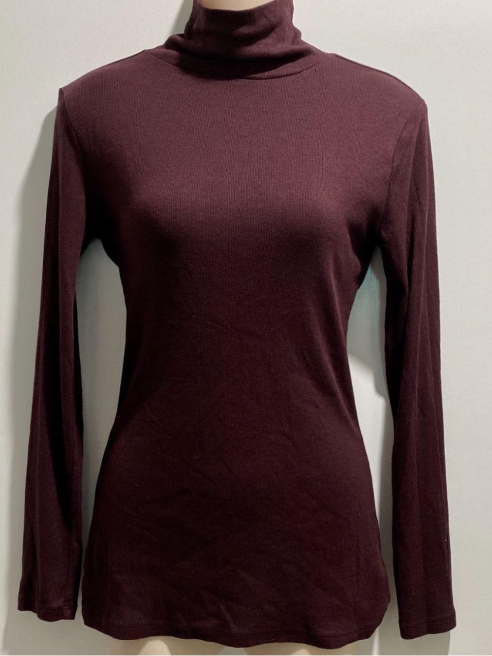 A New Day Long-Sleeve Turtle Neck Top!
